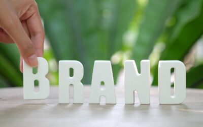 Basic Factors For Building A Brand